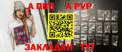 твердый Кингисепп