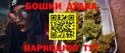 твердый Кингисепп