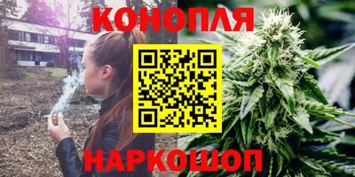 твердый Кингисепп