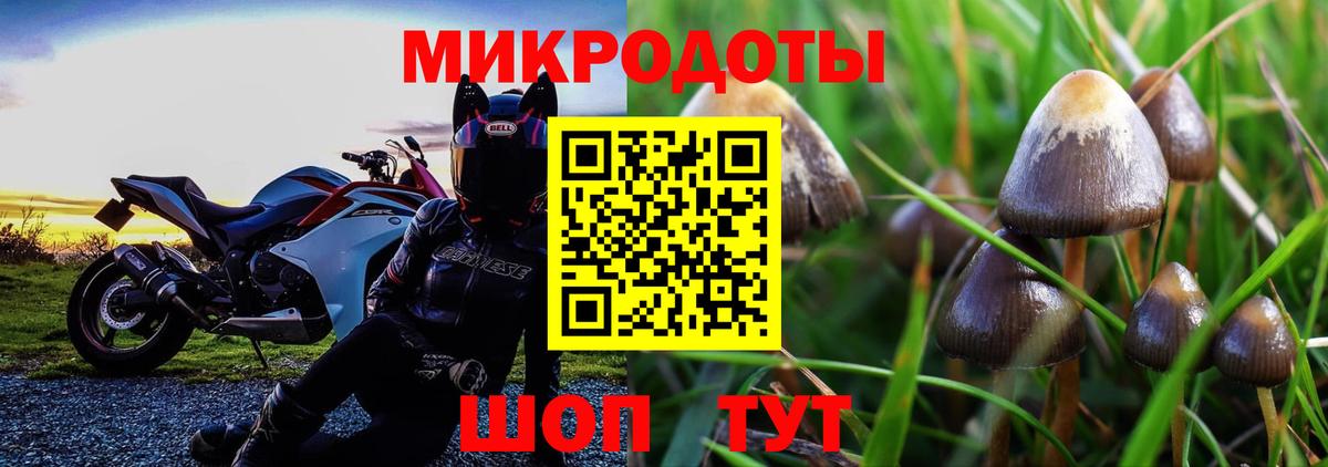 Псилоцибиновые грибы мицелий Бирск